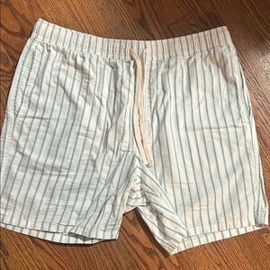 J. Crew White and Blue Striped Swim Trunks